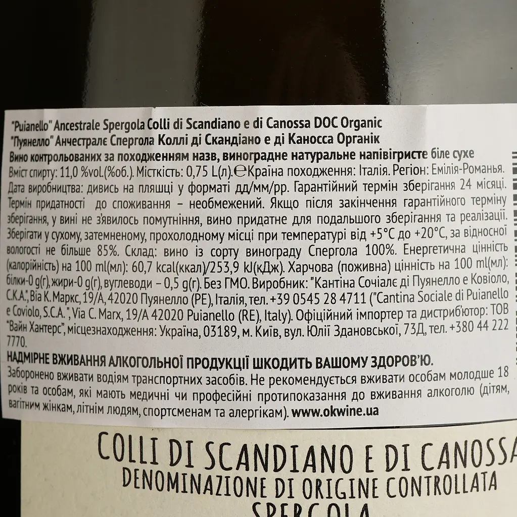 Вино игристое Puianello Ancestrale Biologica белое сухое 0.75 л - фото 4