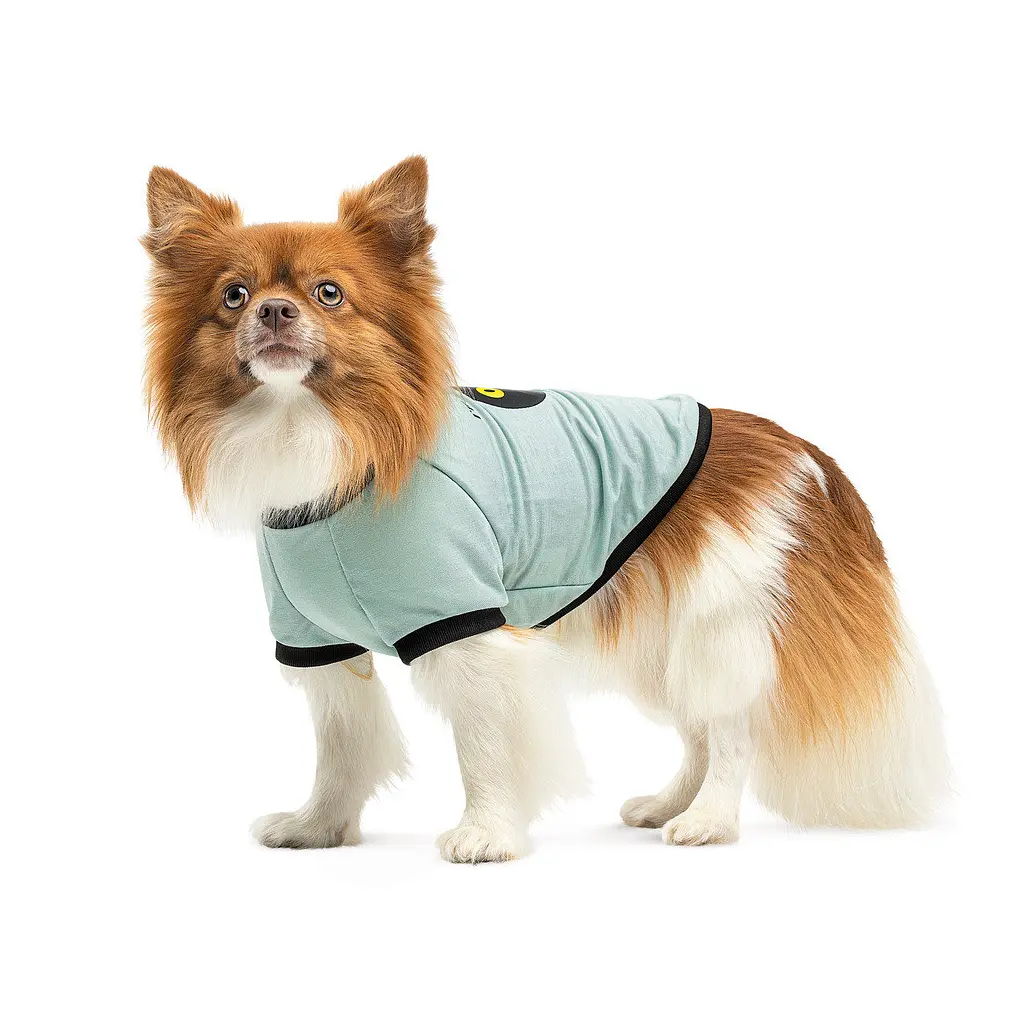 Футболка для тварин Pet Fashion Oscar XS2 блакитна (4823082441372) - фото 2
