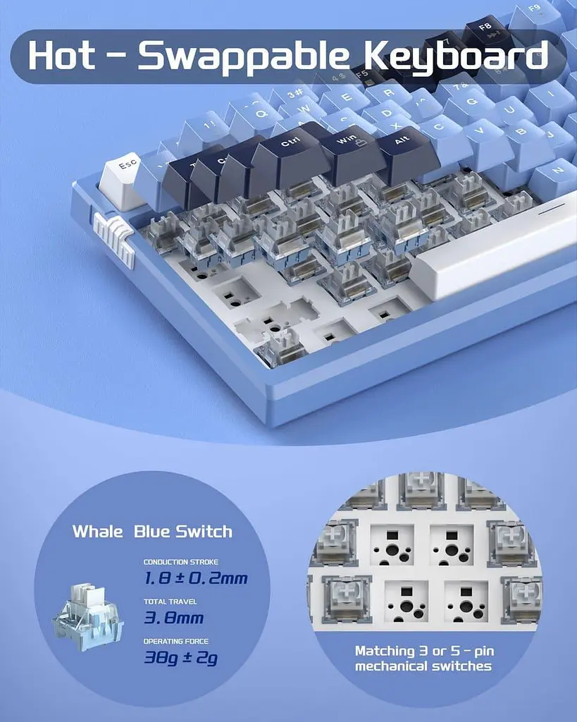Клавіатура MageGee SKY 81 RGB Blue Whale Switch (6971969727922) Prussian Blue (G-000003953) - фото 12