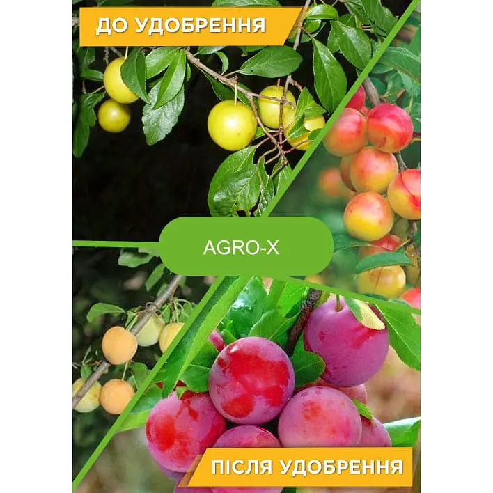 Минеральное удобрение Agro-x Plant builder Плант билдер для ягодных кустов и деревьев 80 г (47655) - фото 3