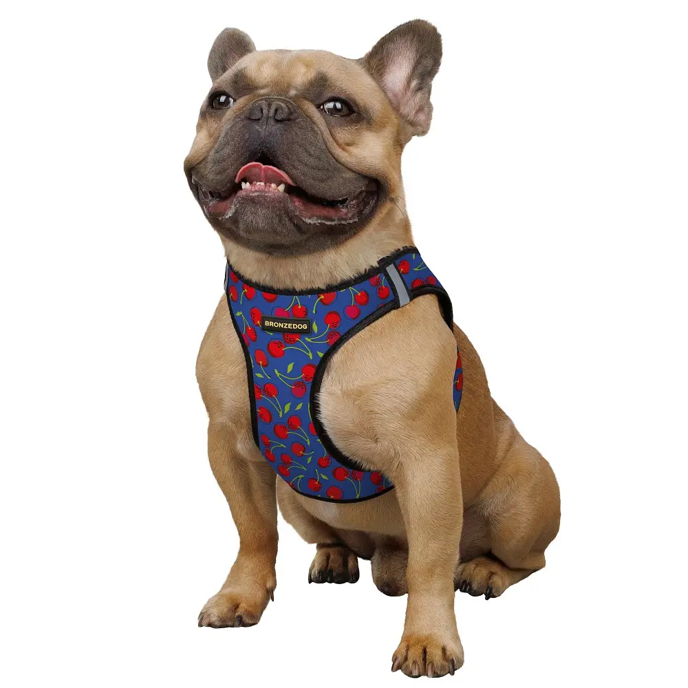 Шлея для собак Bronzedog Sport Vest Вишні XXS 15х13х3 см синя - фото 3