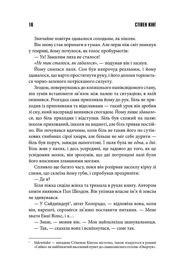Мізері - Стівен Кінг - фото 5