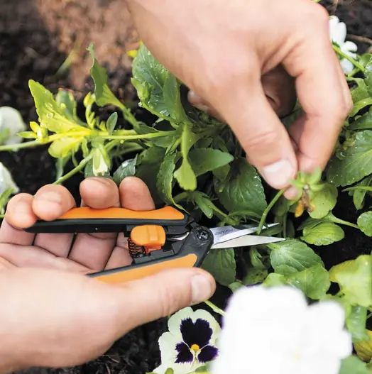 Ножиці для квітів Fiskars Solid ™ Micro-Tip SP13 1051600 - фото 5