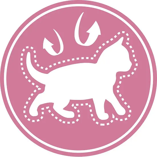 Сухий корм для кошенят Royal Canin Kitten м'ясо птиці та рис 2 кг - фото 3