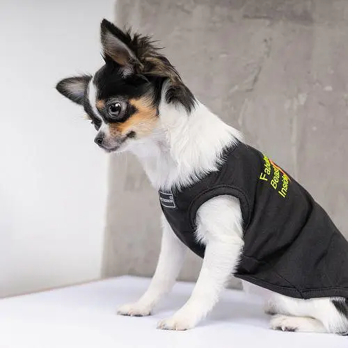Боротьба Pet Fashion FBI для собак, розмір S, чорна - фото 5