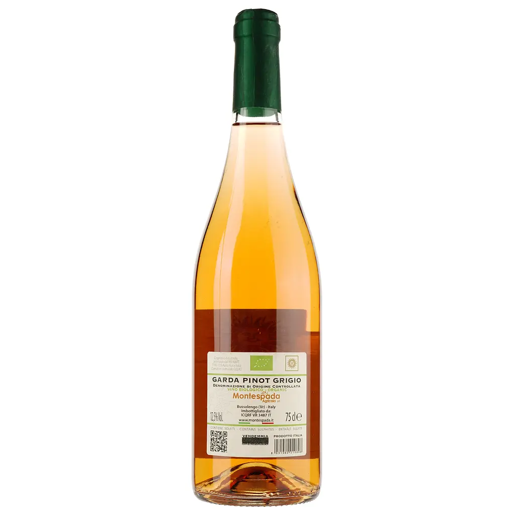 Вино Montespada Pinot Grigio BIO Organic, біле, сухе, 12,5%, 0,75 л - фото 2