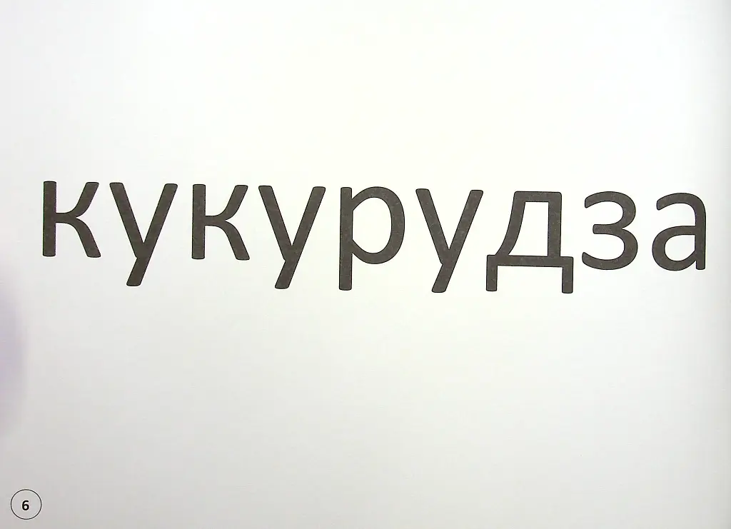 Зорові диктанти з української мови. 2 клас - фото 8