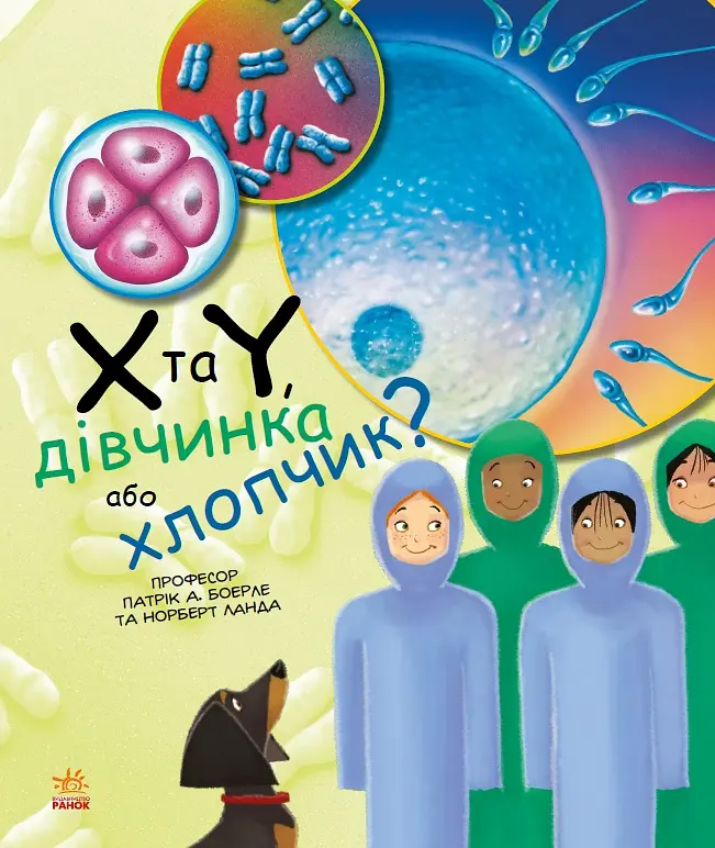 X та Y, дівчинка або хлопчик?