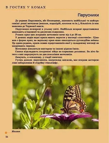 Комахи та інші - Тетяна Жабська - фото 5