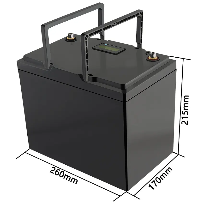 Акумуляторна батарея LiitoKala LiFePO4 12V100Ah, LCD - фото 3