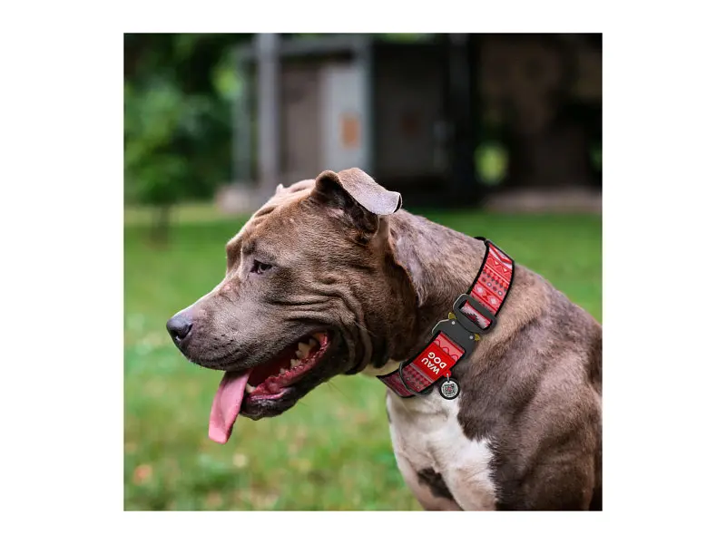 Ошейник для животных WAUDOG Nylon с QR паспортом "Этно красный" металлическая пряжка-фастекс XXL (4535-0133) - фото 3