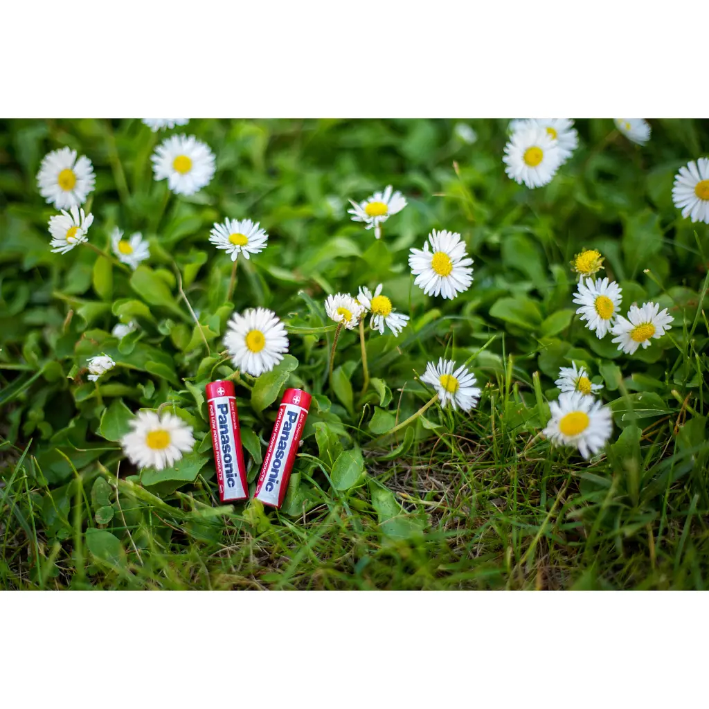 Батарейка Panasonic AAA R03 RED ZINK x 4 (R03REL/4BP) - фото 3