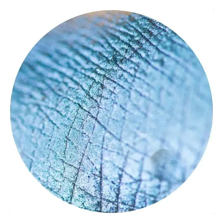 Рассыпчатые тени Sinart Make-Up With Passion тон 28 (Blue Green) 1 г - фото 2