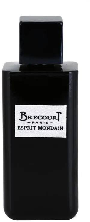 Оригінал Brecourt Esprit Mondain Тестер 100 мл Парфумована вода