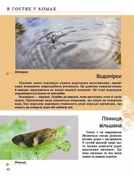 Комахи та інші - Тетяна Жабська - фото 9
