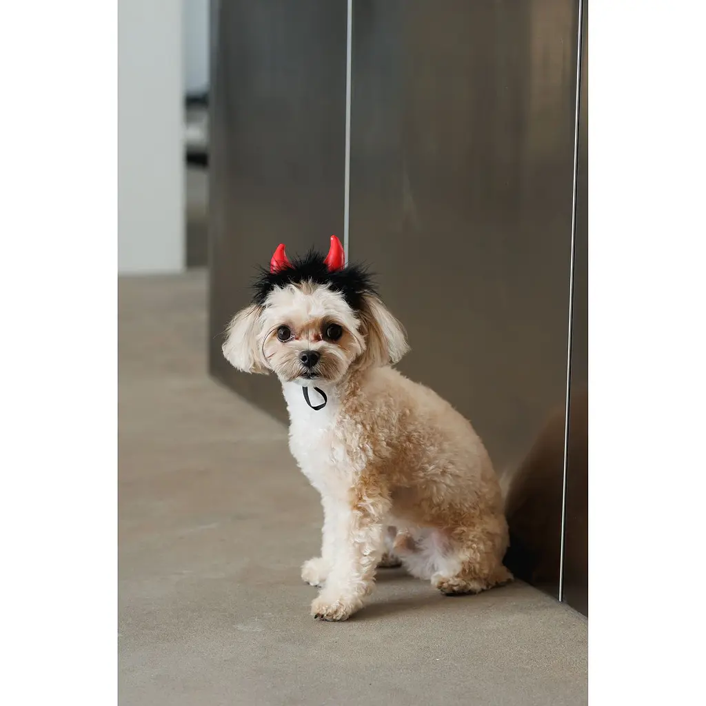 Аксесуар для собак Pet Fashion Imp M-L червоний  - фото 4