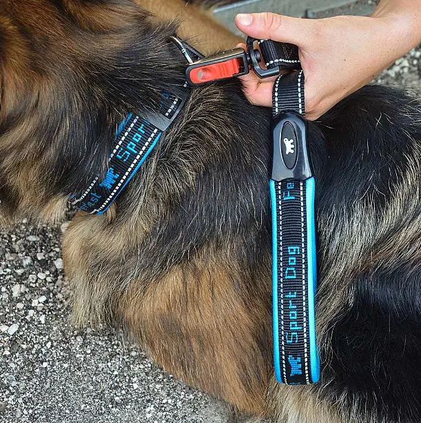 Нашийник для собак Ferplast Sport Dog С25/55 нейлоновий блакитний 2.5-45-55 см 78004125 - фото 8