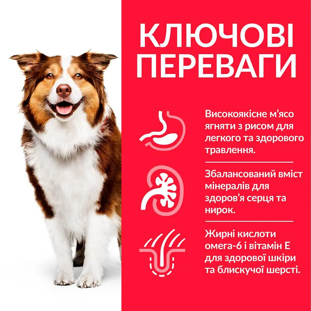 Сухий корм Hill’s SP Mature Adult 7+ Medium Breed для собак середніх порід від 7 років з ягням і рисом 2.5 кг - фото 3