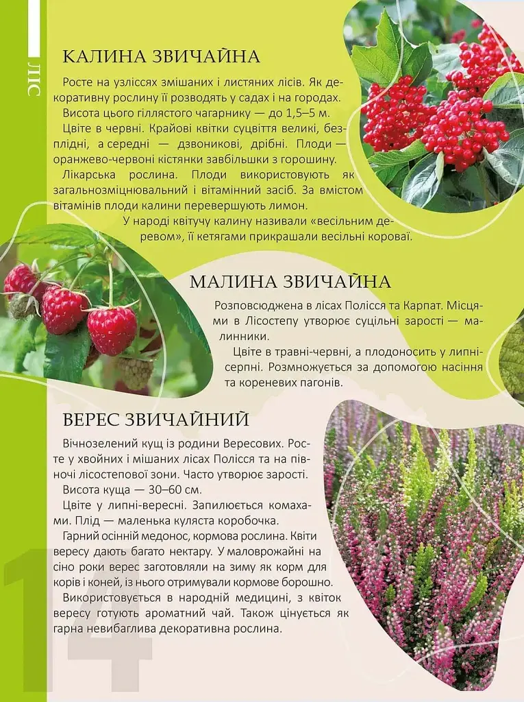 Перлини природи України - Тетяна Станкевич - фото 3