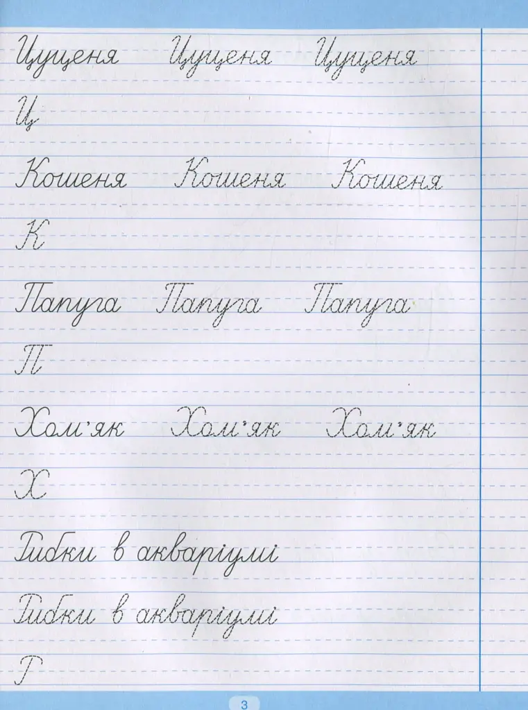 Тренажер для списування речень і текстів. Широка лінійка - фото 4