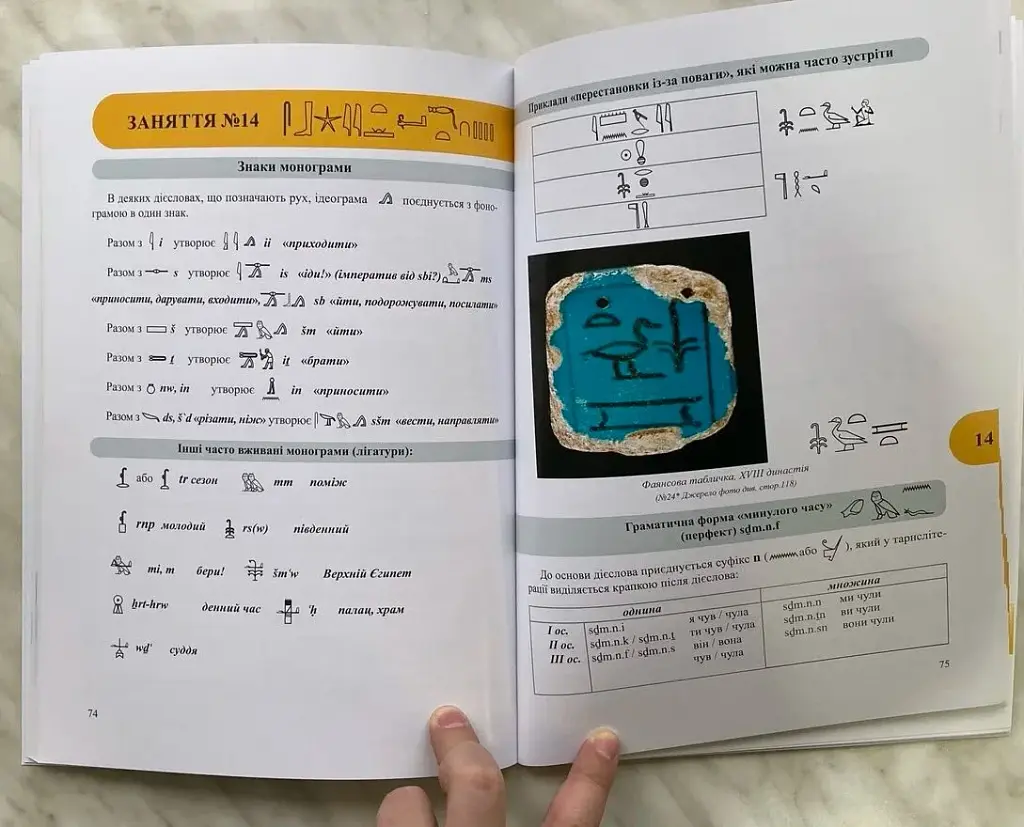 Workbook. Початковий курс середньоєгипетської мови - фото 3