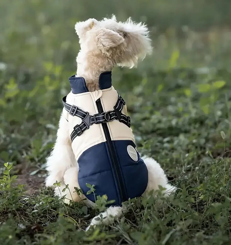Зимова куртка для собак V.PET.B.R. Luxury Dog Jacket C519 Black&Cream - фото 8