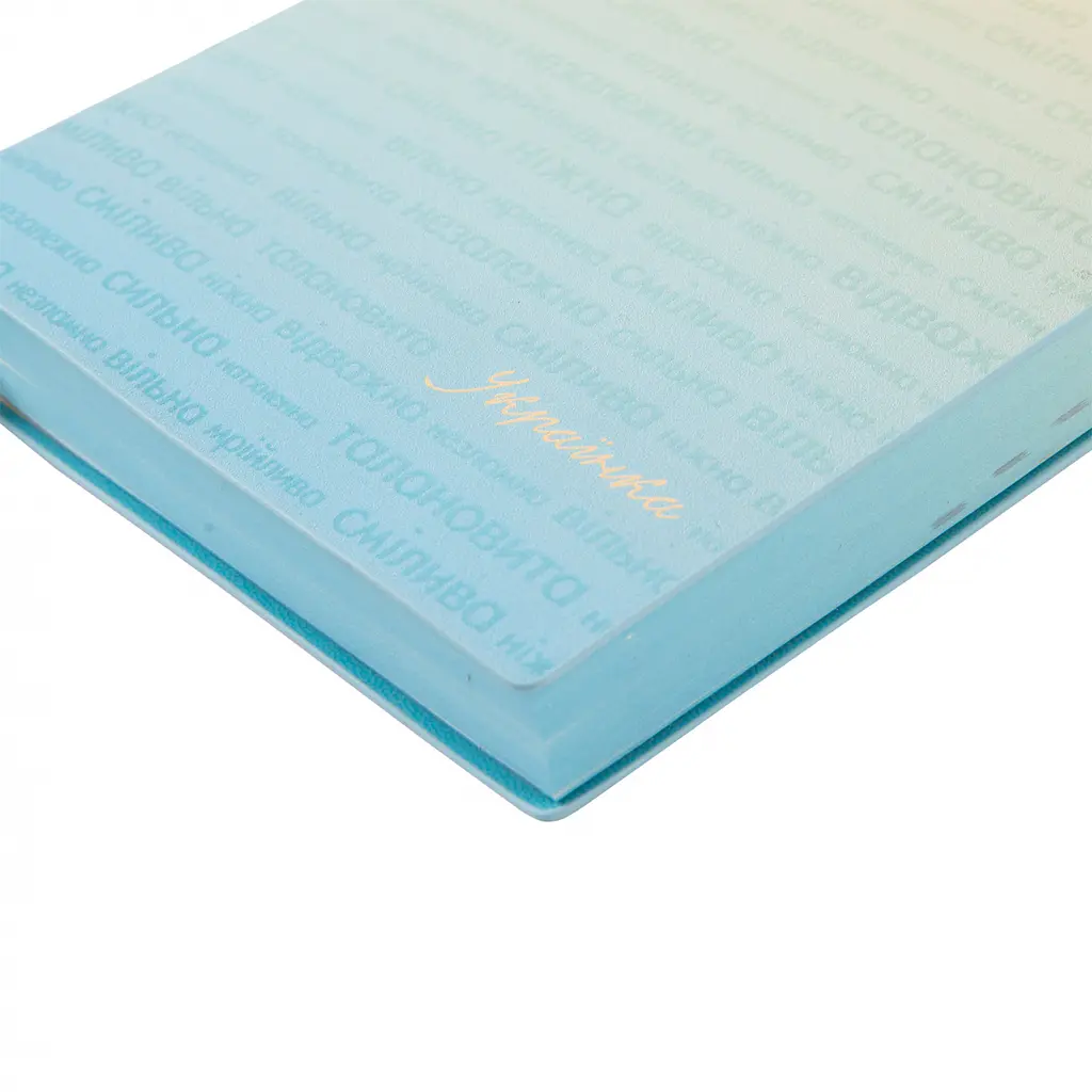 Записник діловий А5 Leo Planner Aspire датований 368 сторінок (252590) - фото 11