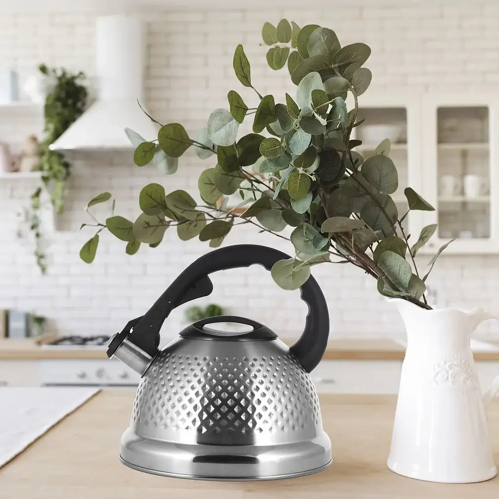 Чайник Ofenbach 2.7 л (OF-100306) - фото 2