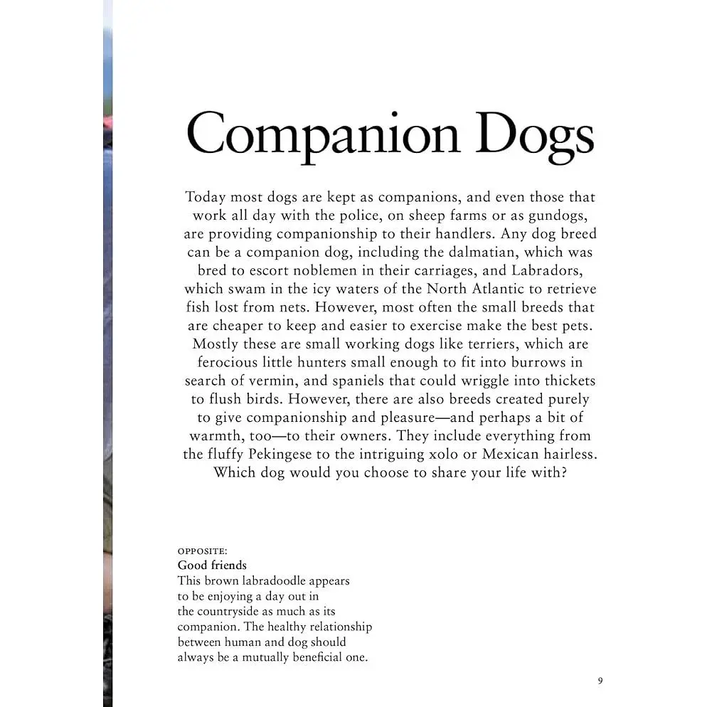 Dog Breeds: Characteristics, Breeds, Care, Origins - Джексон Том - фото 3