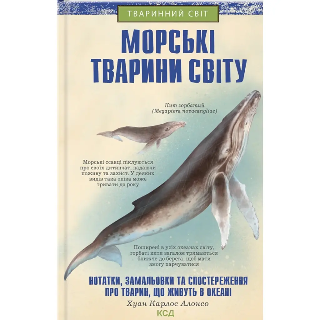 Морські тварини світу. Нотатки, малюнки та спостереження про тварин, що живуть в океані - Хуан Карлос Алонсо