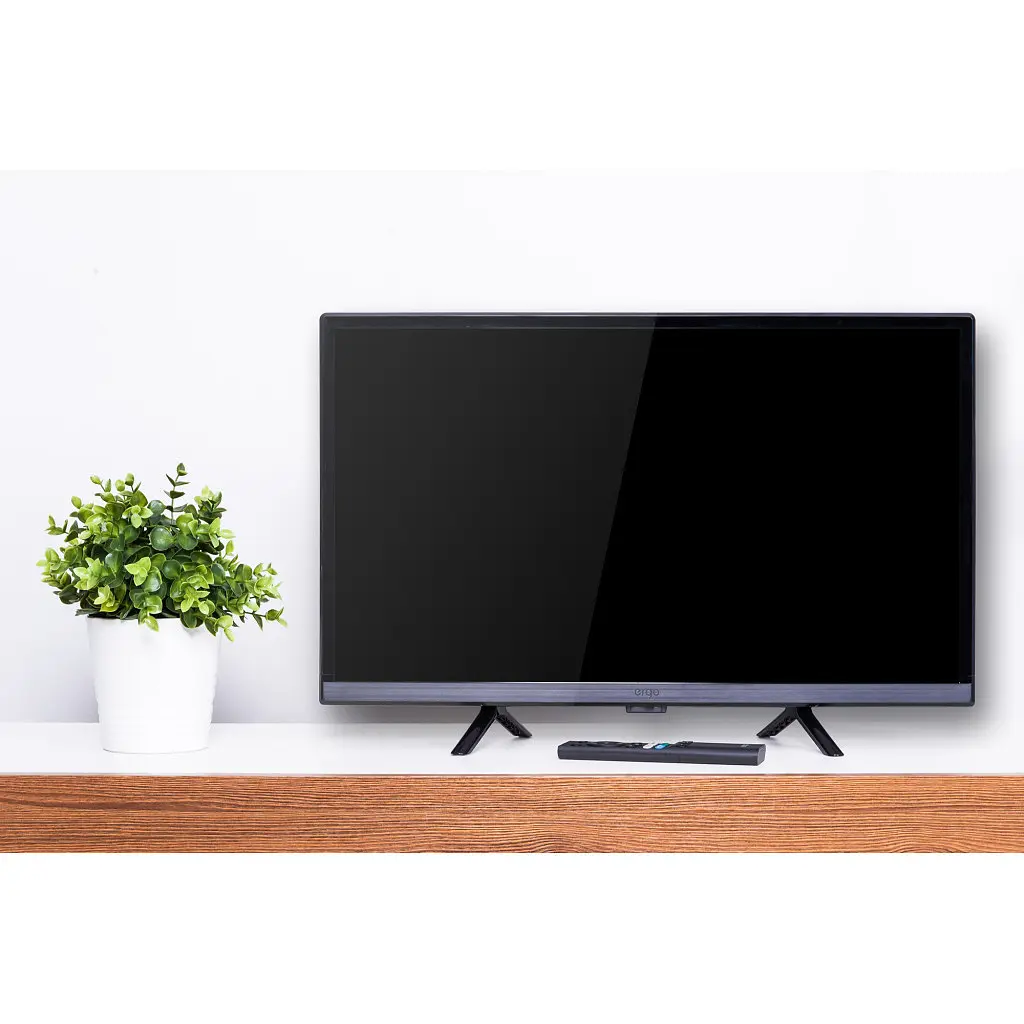 Телевизор Ergo 24GHS5500 - фото 8