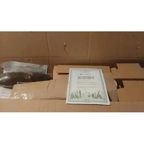 Саженец Agro-Market Виноград Джованни (очень ранний срок созревания, не повреждается осами) 1 шт. в упаковке (20235) - фото 4