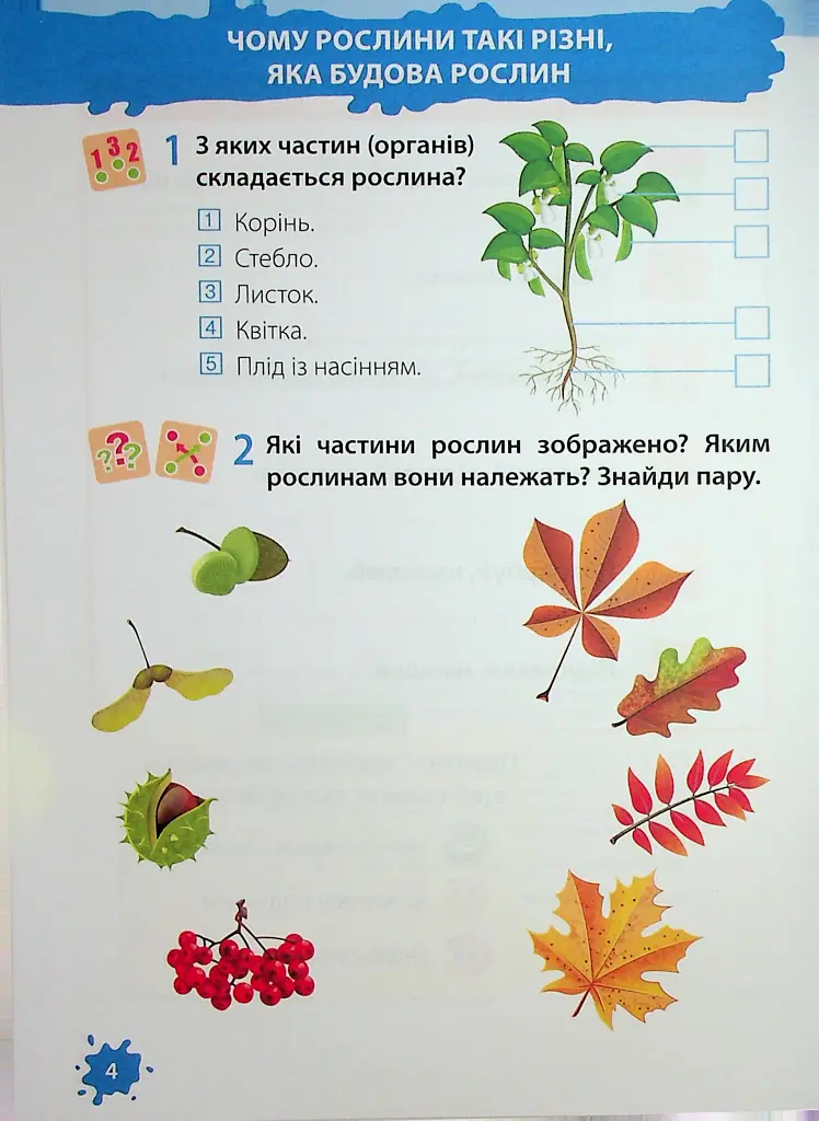 Я досліджую світ. Робочий зошит. 1 клас. Частина 2 - Лариса Мечник - фото 5