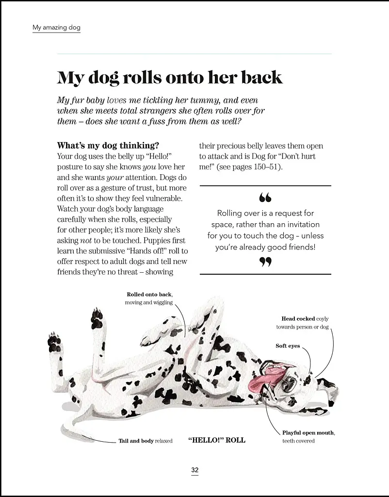 What's My Dog Thinking? Understand Your Dog to Give Them a Happy Life - фото 2
