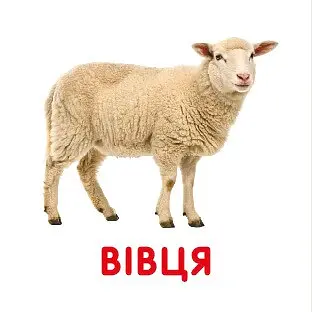 Свійські тварини. Перша книжка малюка - фото 5