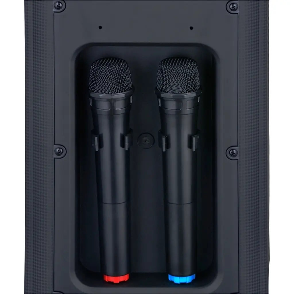 Портативна колонка BiG JBX-828 150 Вт два радіомікрофони караоке підсвічування - фото 5