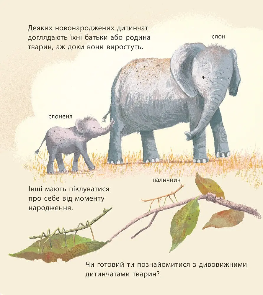 Книга Ранок Дивовижні дитинчата тварин - Кріс Пакхем (С884001У) - фото 5