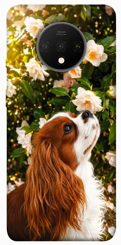 TPU чохол Demsky Flower spaniel для OnePlus 7T