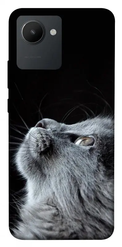 Чохол Demsky Cute cat для Realme C30s