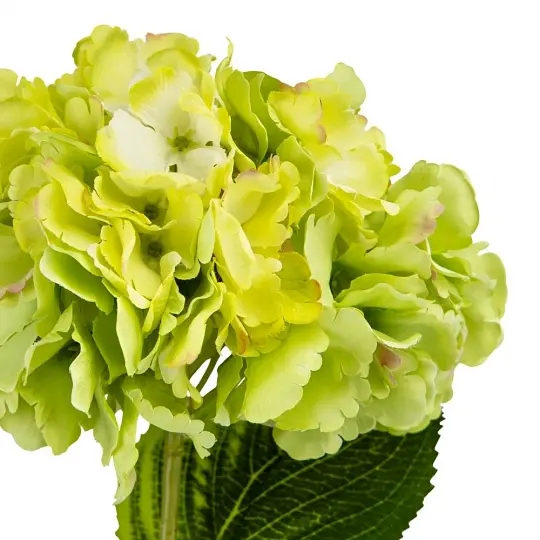 Квітка штучна Elisey Гортензія лимонна 72 см (2000-003GN) - фото 2