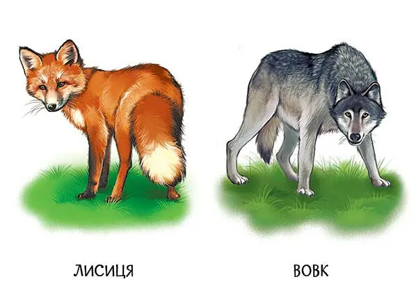 22 картинки. Улюблені тварини - - фото 4
