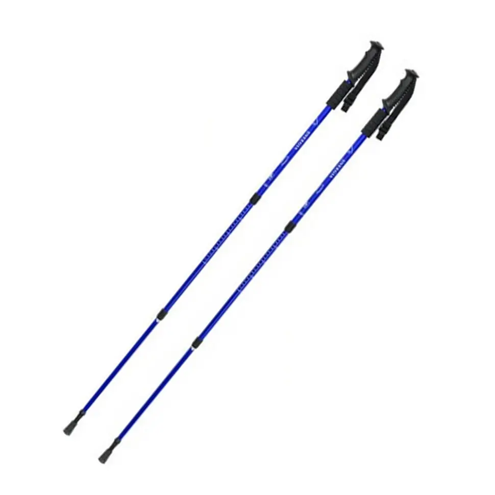 Палка для скандинавської ходьби Energia EasyFit EF-3924-BL, синя