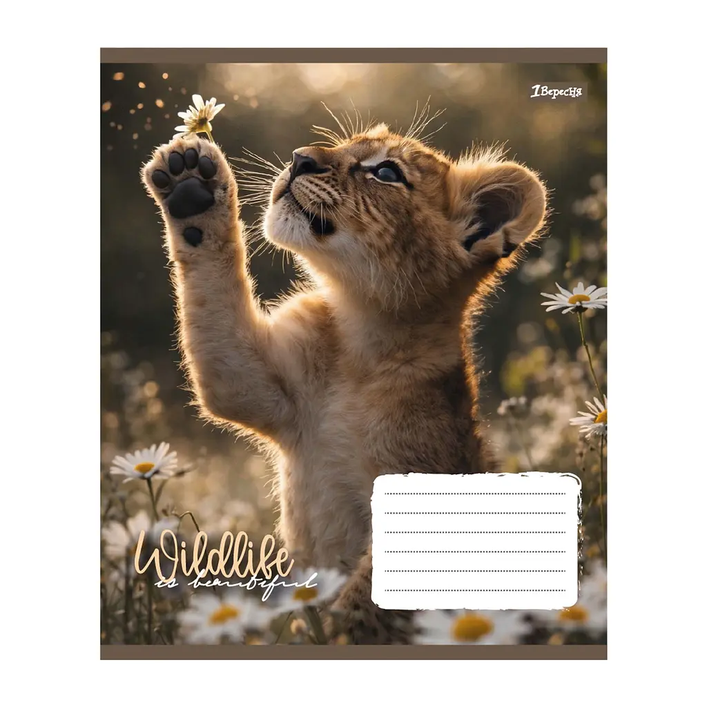 Упаковка зошитів 1В Wildlife is beautiful А5/24 кл. 20 шт. (769146) - фото 2