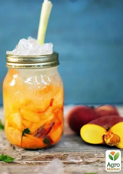Саджанець Agro-Market Персик жовтий з яскравим рум'янцем Тропічний рай (Tropical paradise) (англійська селекція, преміальний високоврожайний сорт) 1 шт. в упаковці (39930) - фото 2
