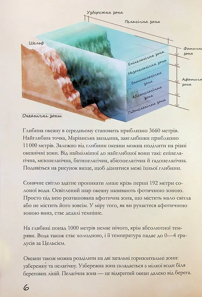 Морські тварини світу. Нотатки, малюнки та спостереження про тварин, що живуть в океані - Хуан Карлос Алонсо - фото 7