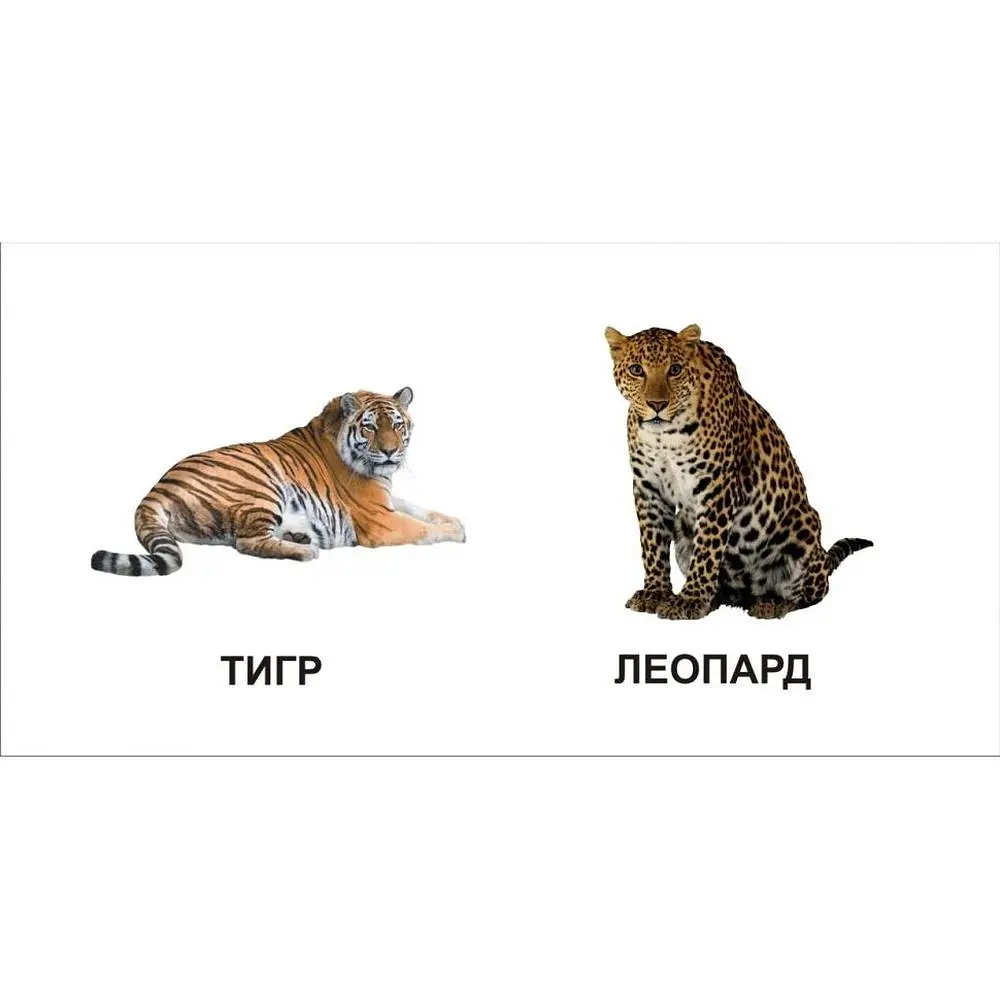 Карамелька. Звірята - Лілія Гуменна (9786175911082) - фото 2