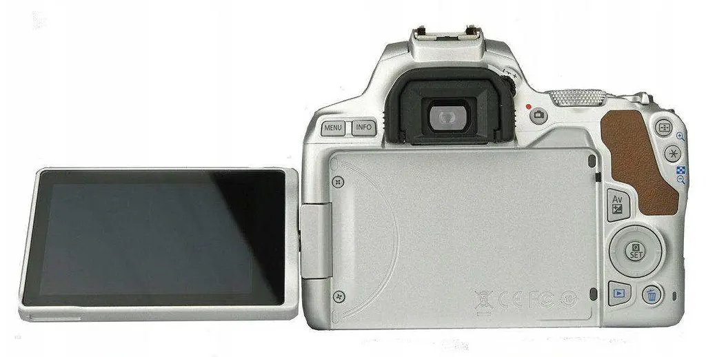 Фотоапарат Canon EOS 250D + 18-55mm IS STM Silver - фото 6