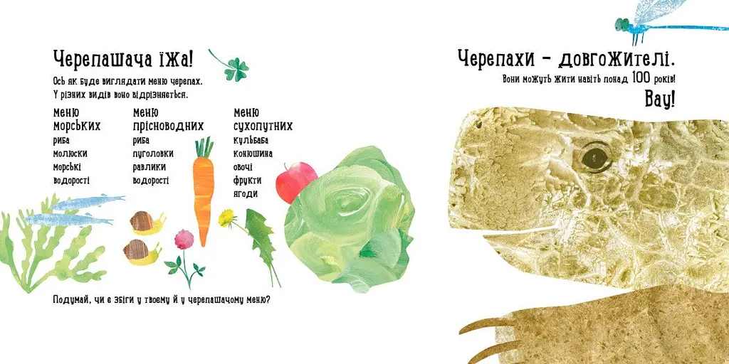Книга Ранок Куди поділася черепаха? - Наталія Чуб (S914004У) - фото 2