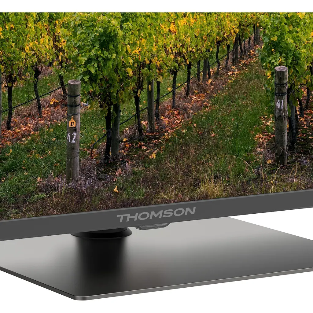 Телевизор Thomson QG5C14 65" QLED 4K UHD [65QG5C14] [139557] - фото 4
