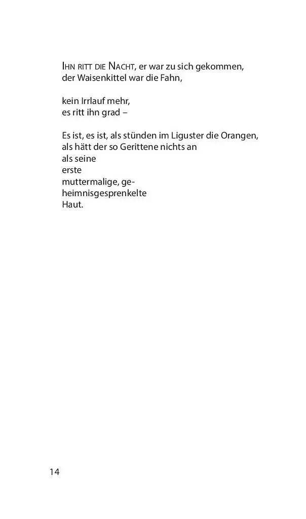 Світлопримус - фото 9